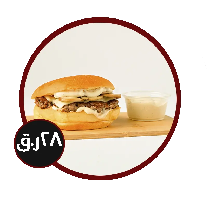 مشروع جديد 13