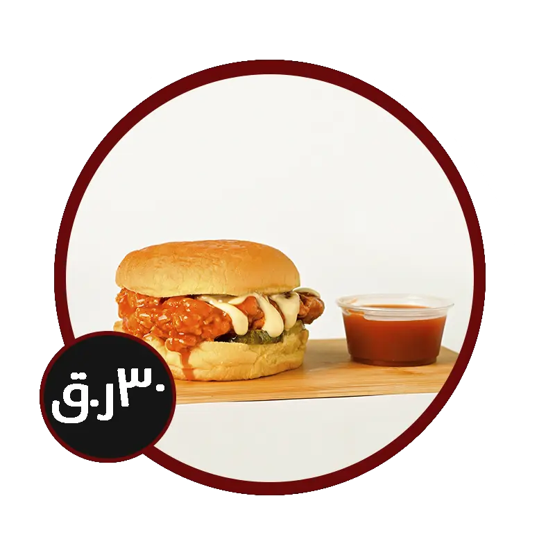 مشروع جديد 24