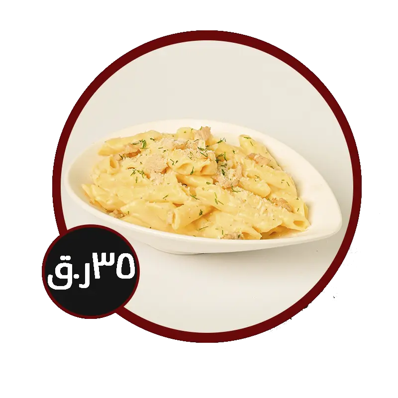 مشروع جديد 29