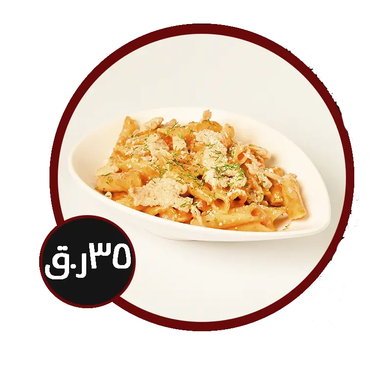 مشروع جديد 30