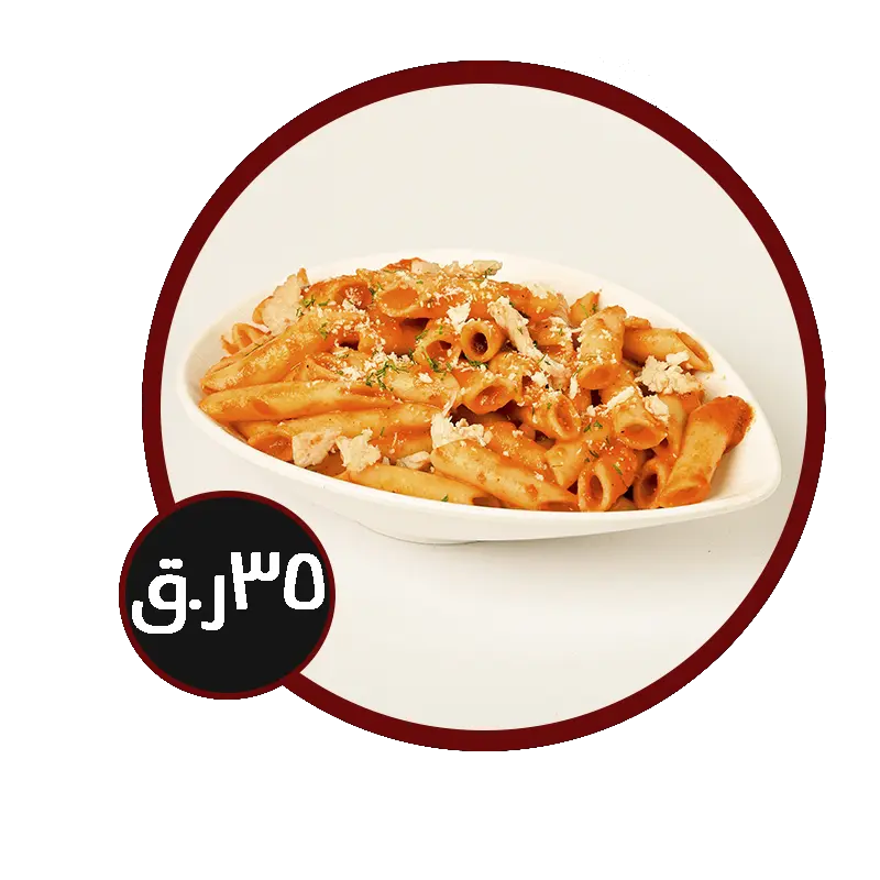 مشروع جديد 31