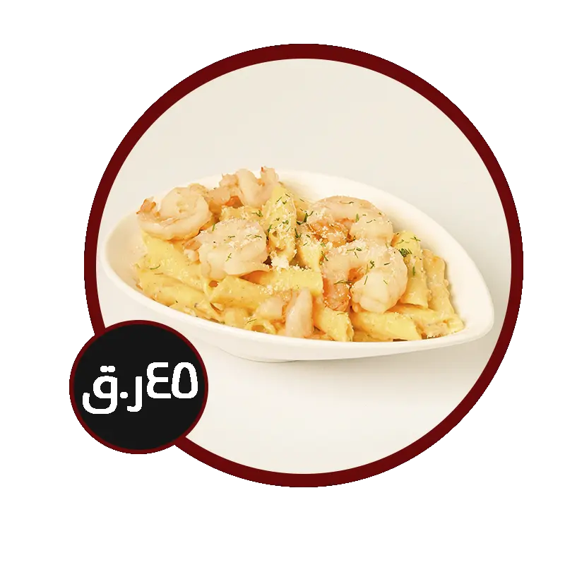 مشروع جديد 32